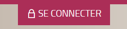 Bouton Connexion